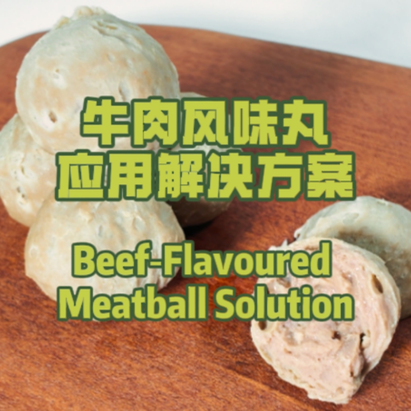 牛肉风味丸应用解决方案